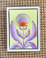 Shell Specimen: Lavender Fields