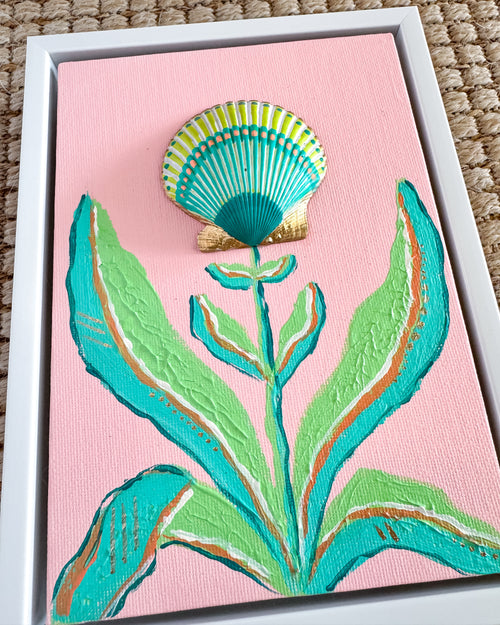 Shell Specimen: Ocean Magic